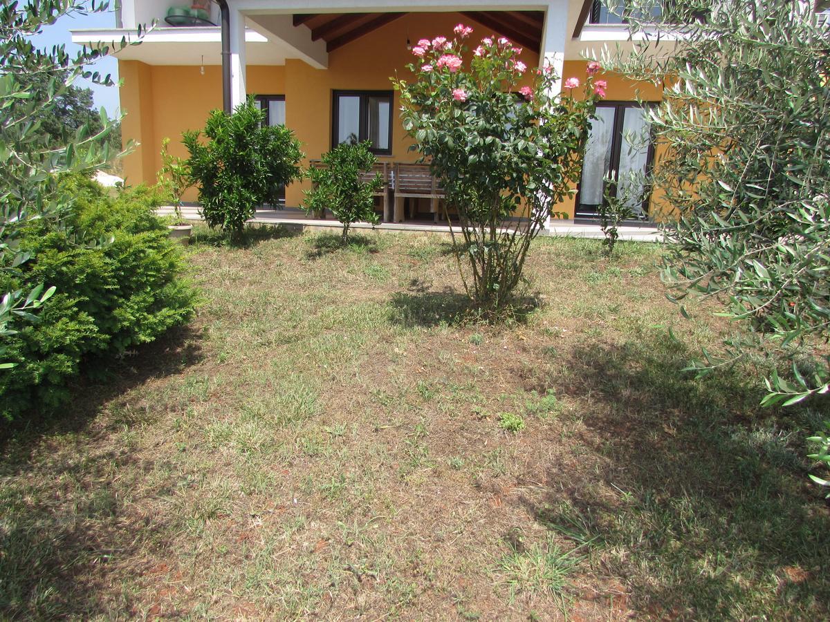 Apartments Goga Ουμάγκ Εξωτερικό φωτογραφία