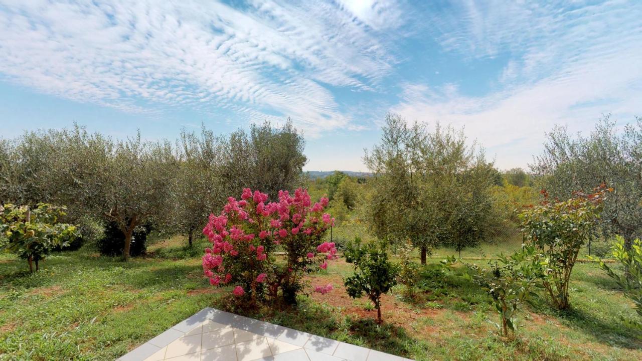 Apartments Goga Ουμάγκ Εξωτερικό φωτογραφία